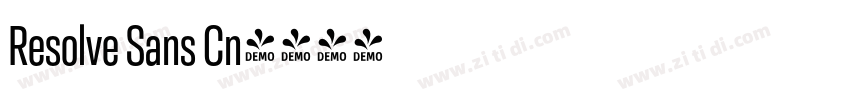Resolve Sans Cn字体转换 Resolve Sans Cn字体转换